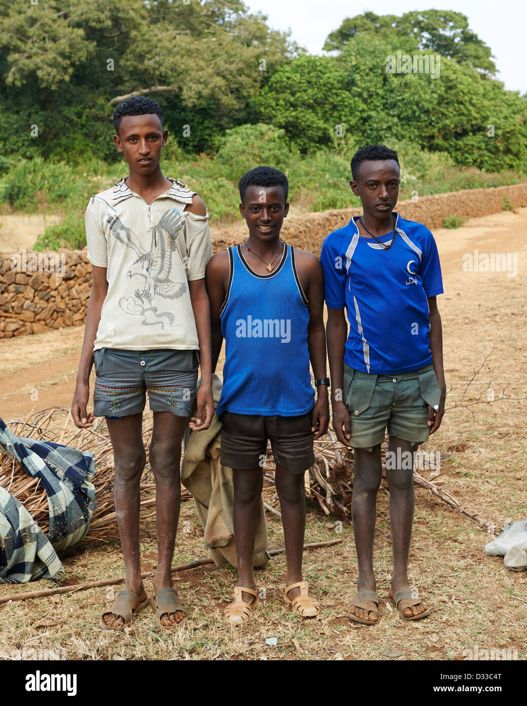 Tre ragazzi locali raccogliere legname da vendere per legna da ardere posare per un ritratto Foto Stock