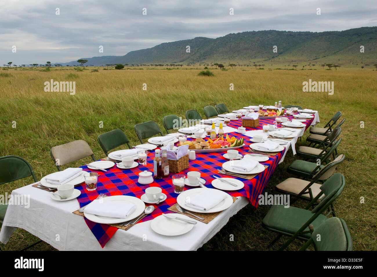 Bush breakfast in Masai Mara riserva nazionale, Kenya Foto Stock