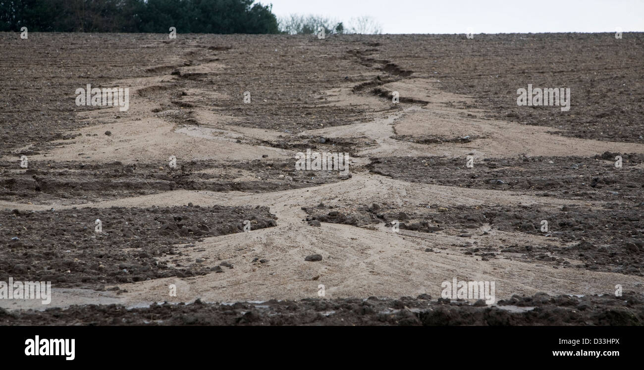 Erosione del suolo in un campo dalla overland flow dopo heavy rain, Rendlesham, Suffolk, Inghilterra Foto Stock