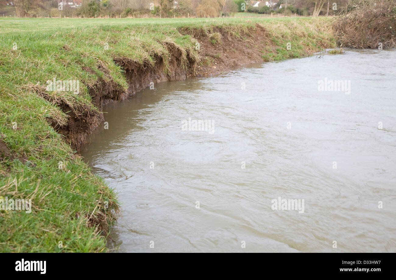 Livello di acqua alta e la velocità di sottoquotazione banche fluviale sul fiume Deben, Ufford, Suffolk, Inghilterra Foto Stock