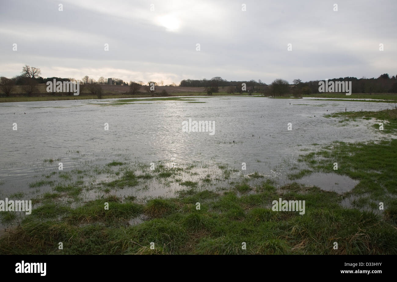 Le inondazioni del fiume Deben vicino Naunton Hall weir, Rendlesham, Suffolk, Inghilterra, fine dicembre 2012 Foto Stock