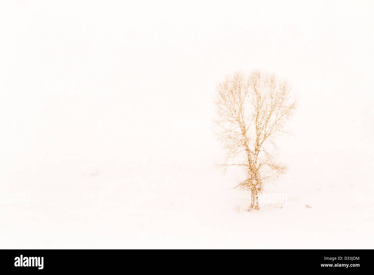 Tempesta di neve sulla fattoria rurale in Colorado. Foto Stock