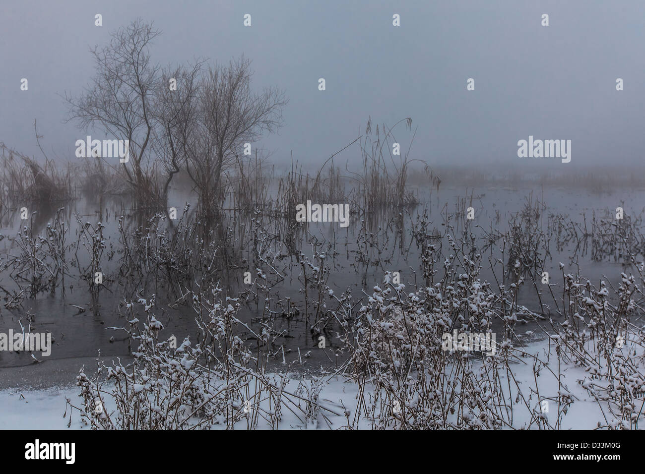 Nebbia di mattina in inverno Foto Stock