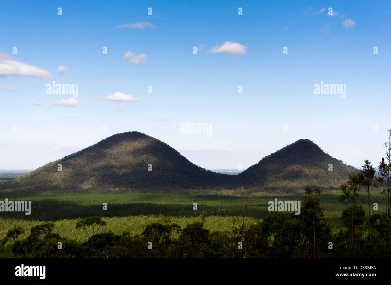 Tunbubudla noti come i gemelli, parte del Glasshouse Mountains nella Beerburrum riserva forestale, Queensland, Australia Foto Stock