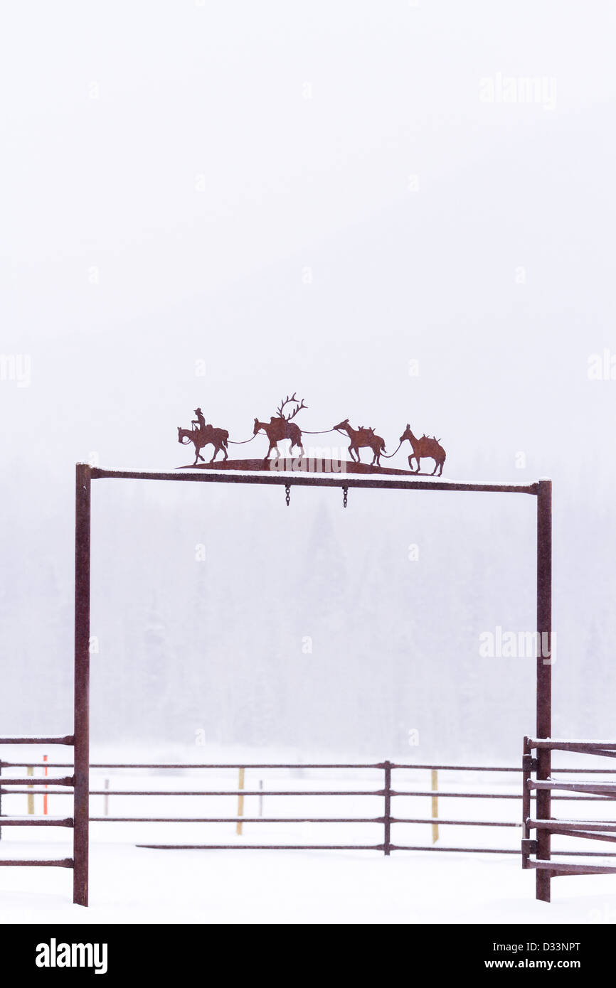 I cavalli bianchi di neve sulla fattoria in Colorado. Foto Stock