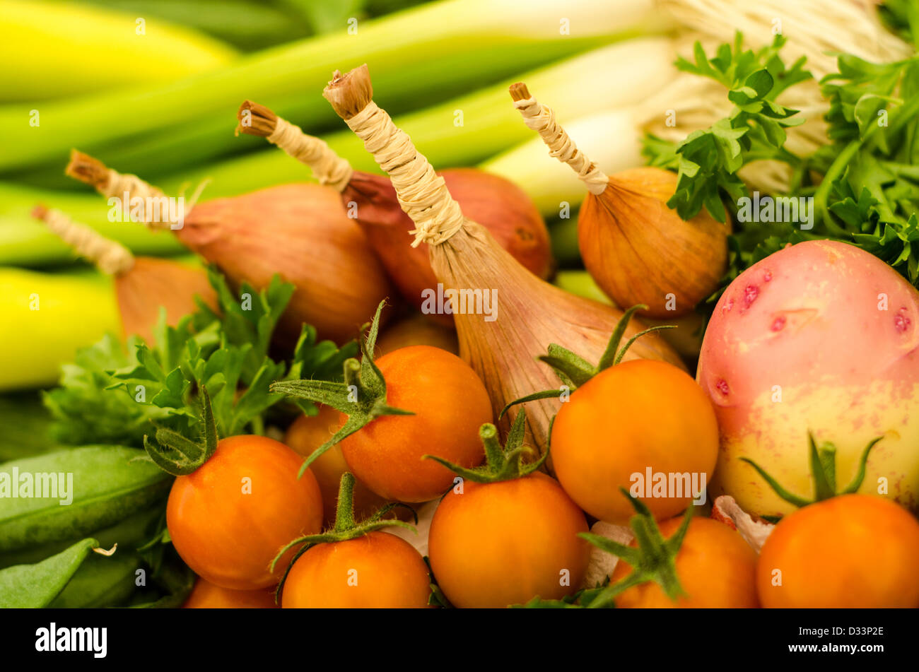 Una raccolta di ortaggi o legumi compresi gli scalogni e pomodori Foto Stock