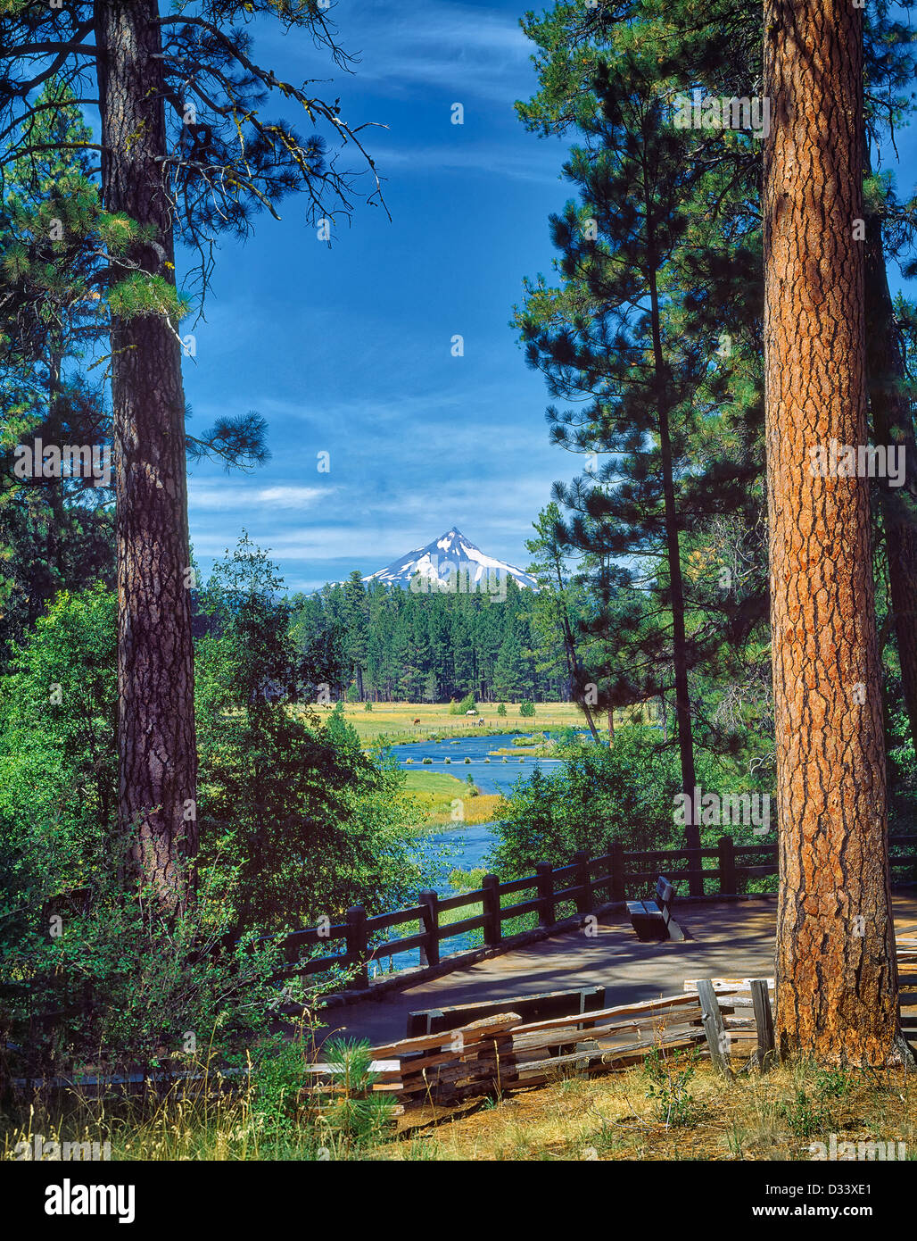 Metolius River con i cavalli nel prato di colore. Oregon. Foto Stock