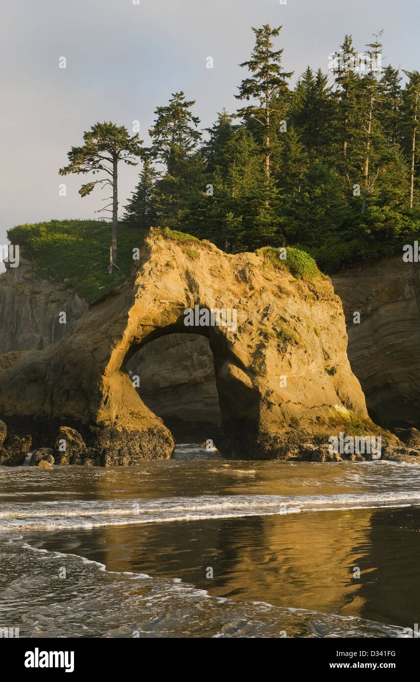 Arco Naturale, Tunnel Isola, Pacific Coast, Quinault Indian Reservation, Penisola Olimpica, Washington Foto Stock