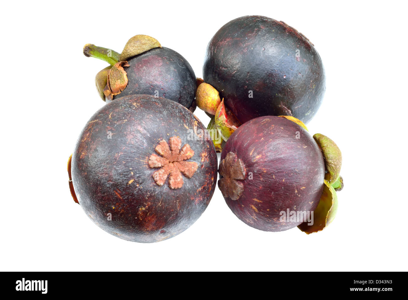 Mangosteen viola su sfondo bianco di close-up Foto Stock