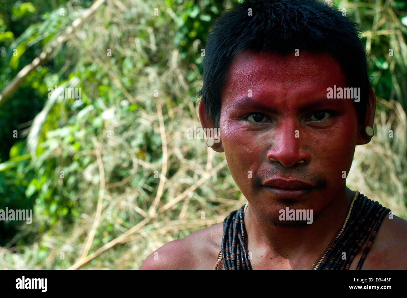 Un giovane uomo matis con tatuaggi facciali, piercing, vernice rossa  (achiote) e le tradizionali collane, brasil Foto stock - Alamy
