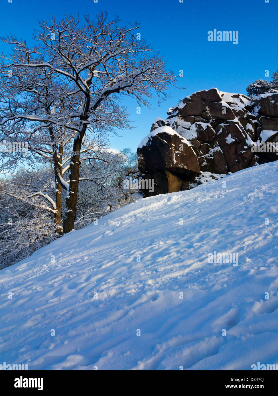 Neve invernale con albero a rocce nere una popolare area di arrampicata nei pressi di Cromford nel Derbyshire Dales Peak District Inghilterra REGNO UNITO Foto Stock