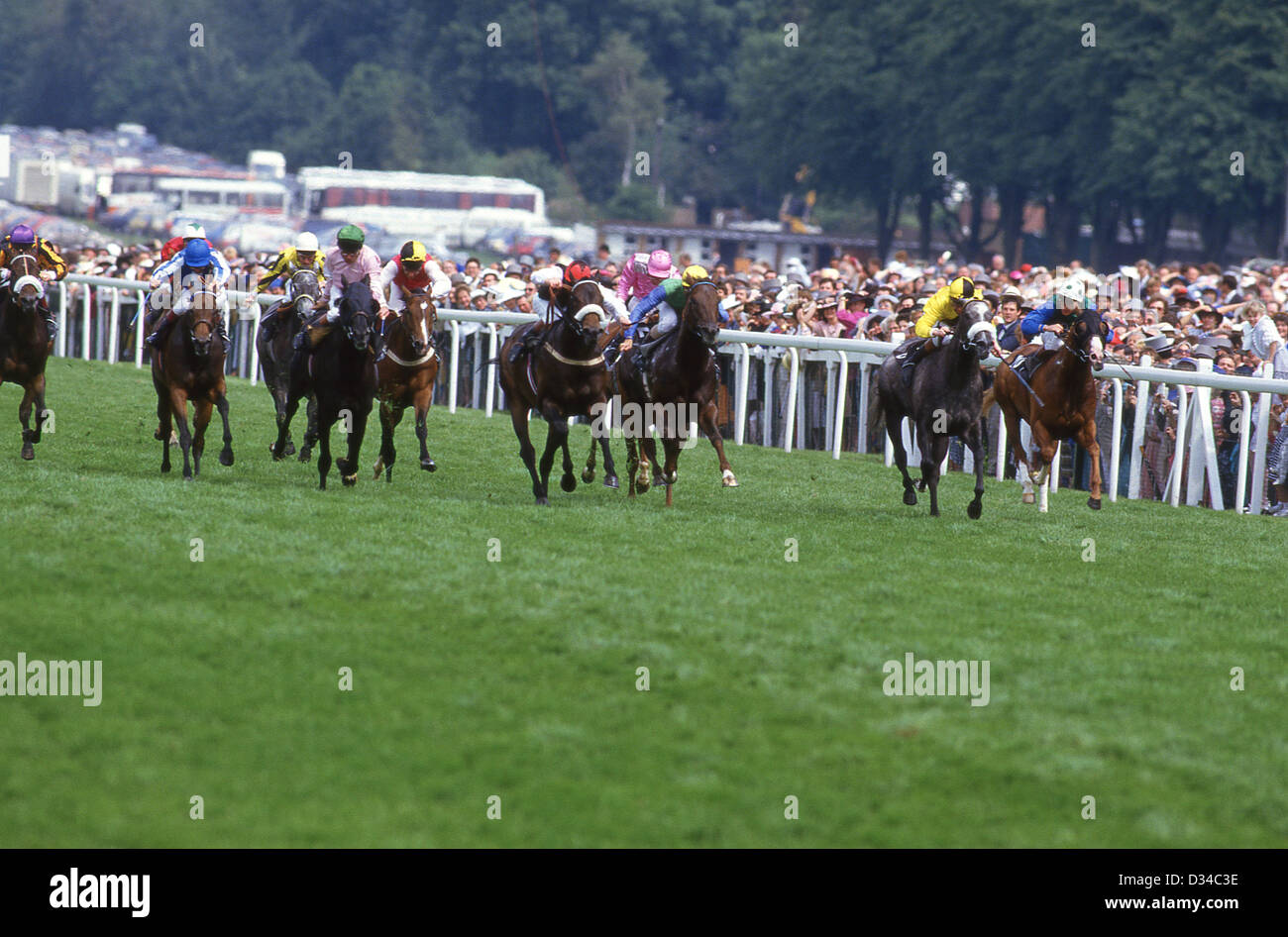 Corsa di cavalli al Royal Ascot incontro, Ascot Racecourse, Ascot Berkshire, Inghilterra, Regno Unito Foto Stock