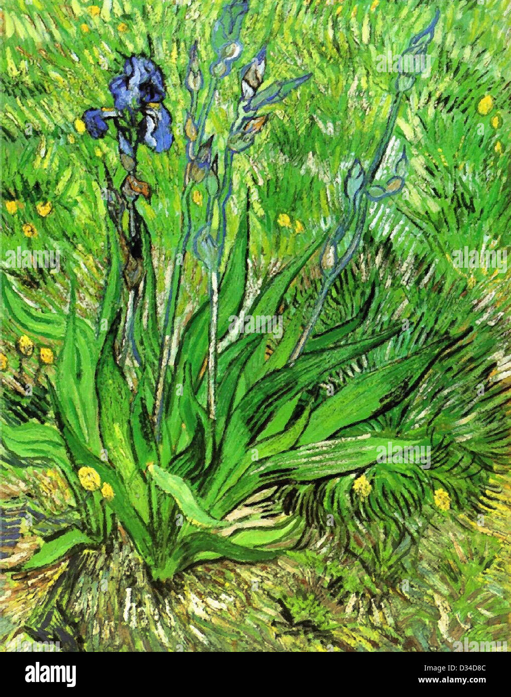 Vincent van Gogh, l'iride. 1889. Post-Impressionism. Olio su tela. Galleria Nazionale del Canada, Ottawa, Canada. Foto Stock