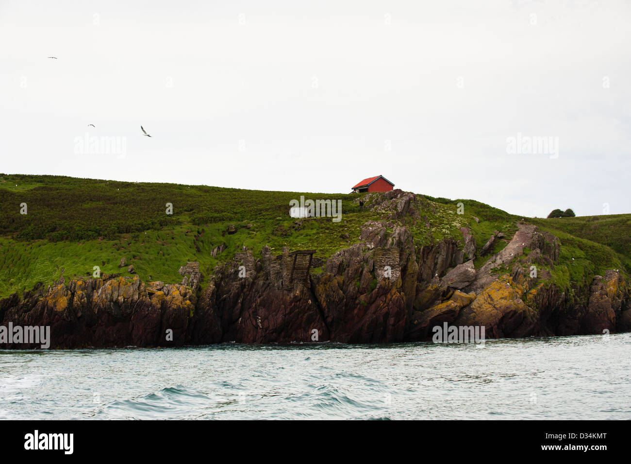 Skokholm Island, South Pembrokeshire, Wales, Regno Unito Foto Stock