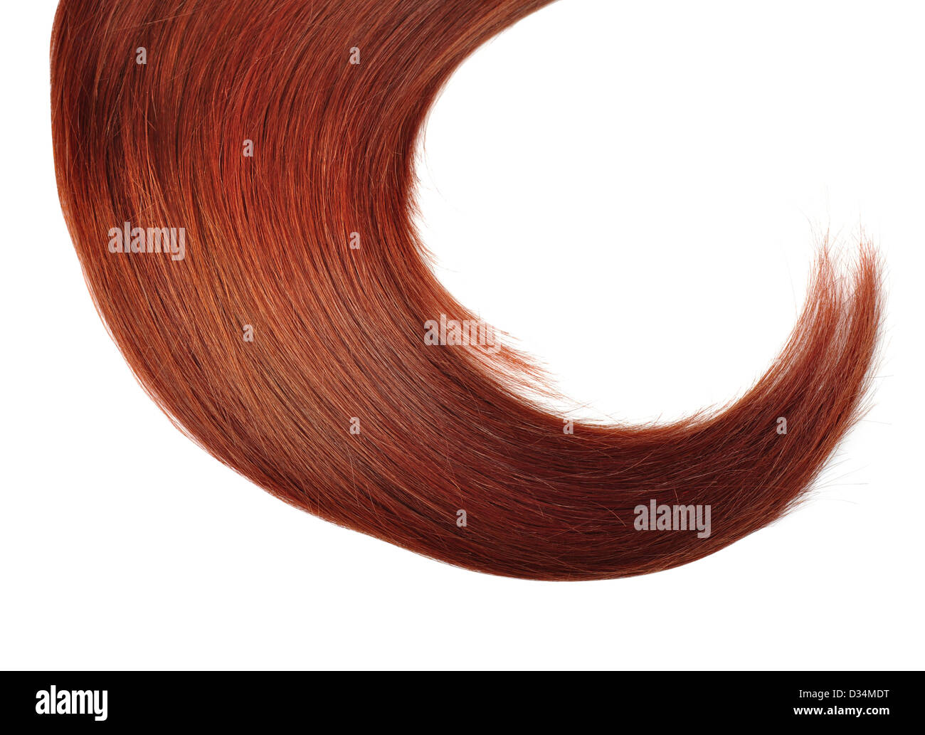 Una sana capelli rossi isolato su sfondo bianco Foto Stock