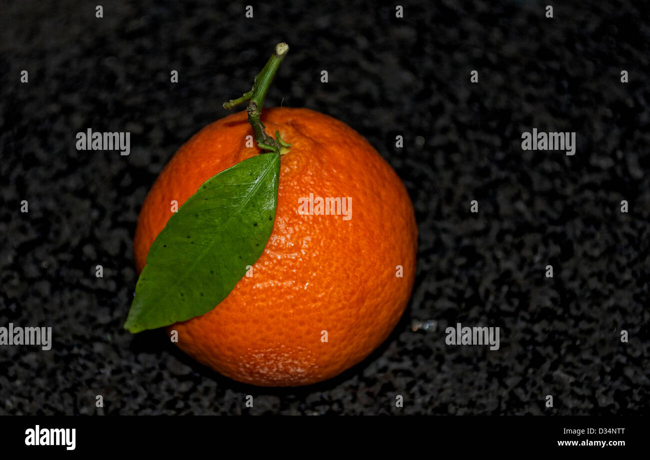 Foglia Verde si trova sulla cima di un arancione / satsuma / Clementine / mandarino Foto Stock