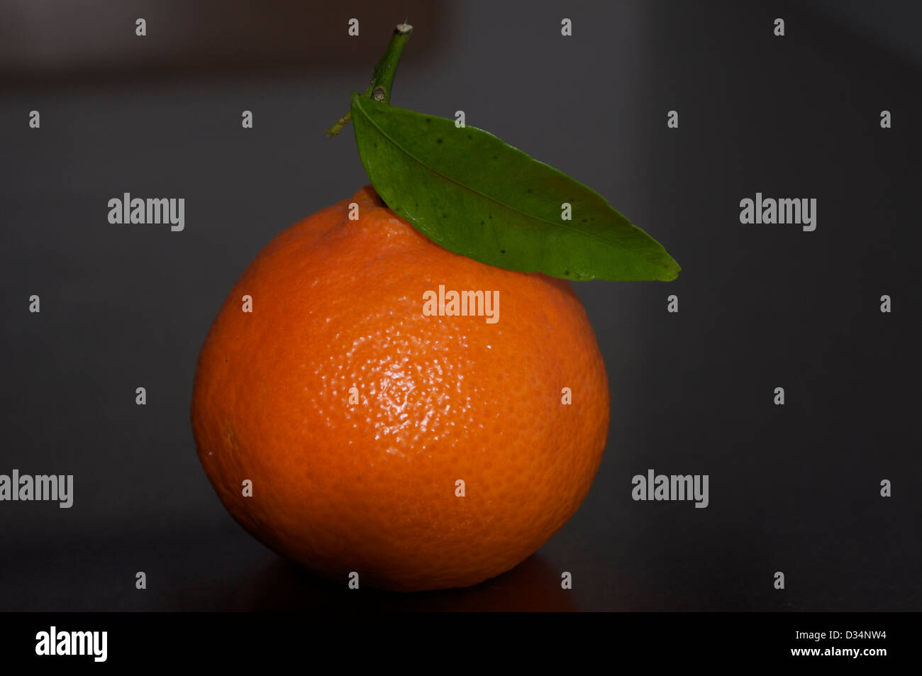 Foglia Verde si trova sulla cima di un arancione / satsuma / Clementine / mandarino Foto Stock