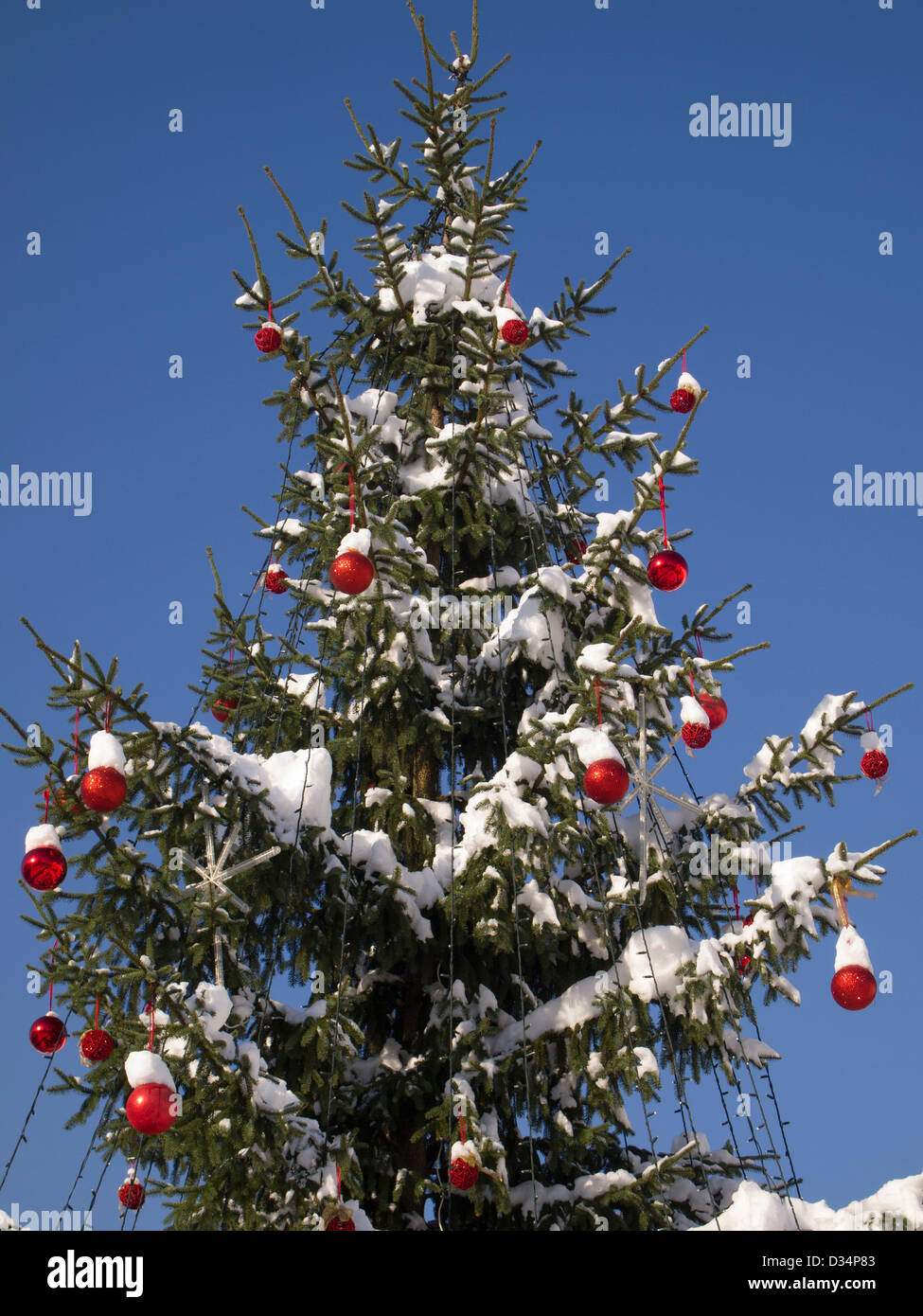 Palle Di Natale Grandi.Un Enorme Albero Di Natale Con Grandi Palle Rosse E La Decorazione Sul Cielo Blu Foto Stock Alamy