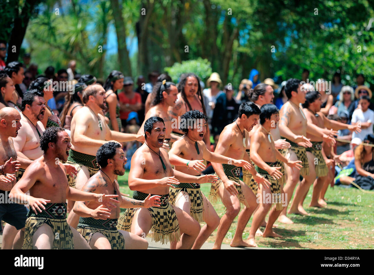Kapa Haka gruppo esegue un maori Haka danza al Waitangi Treaty Grounds durante Waitangi alle celebrazioni del Giorno Foto Stock