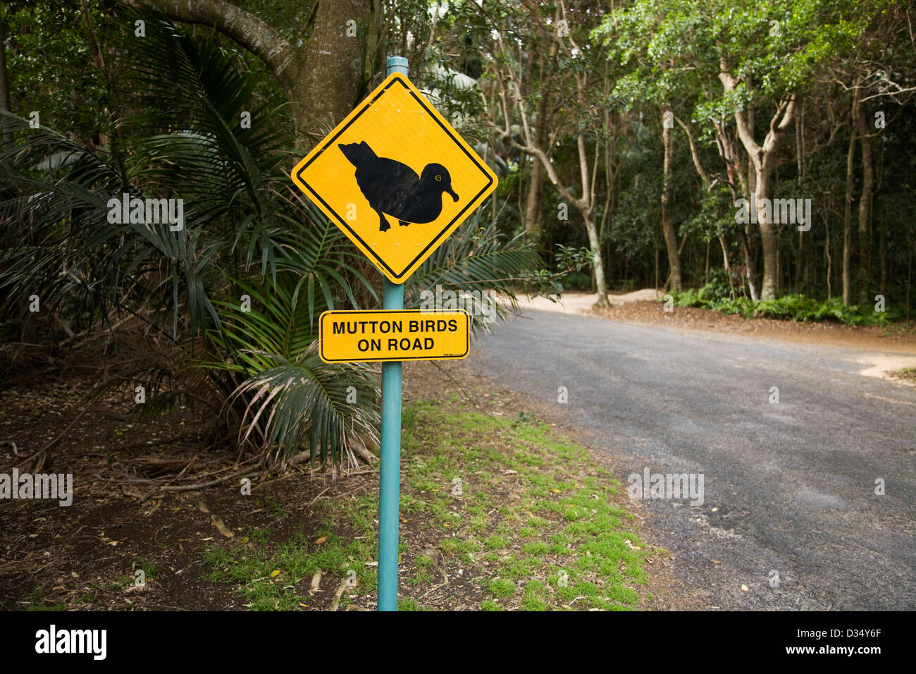 Carni di montone Bird cartello stradale Isola di Lord Howe Nuovo Galles del Sud Australia Foto Stock