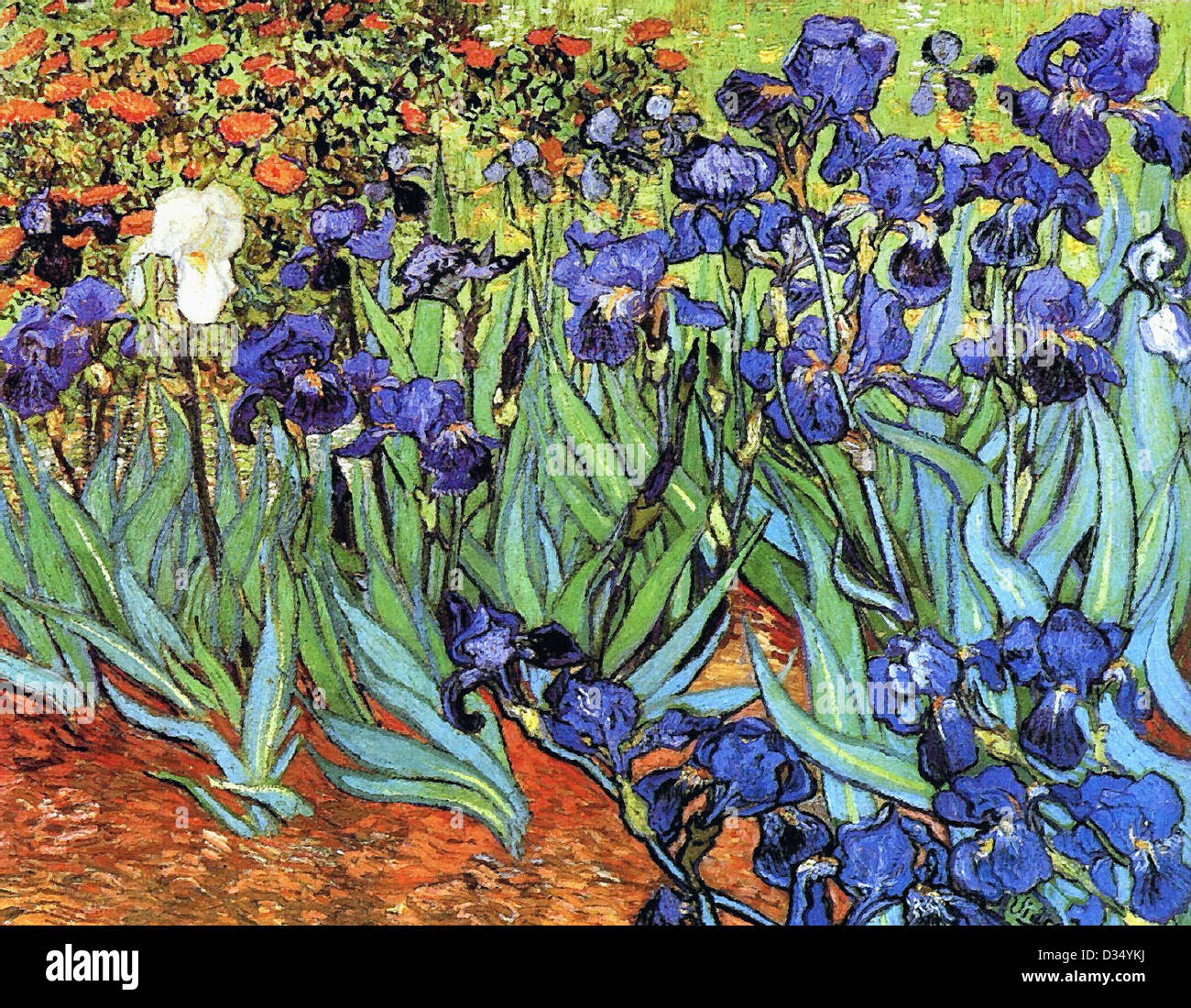 Vincent van Gogh, iridi. 1889. Post-Impressionism. Olio su tela. Getty Museum di Los Angeles, California, USA. Foto Stock