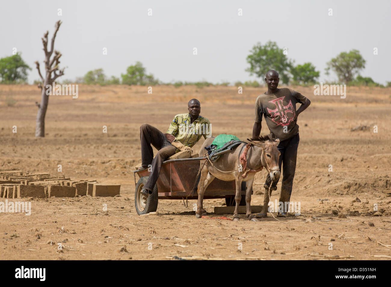 Yako, Burkina Faso, Maggio 2012: Asino carrello per trasportare mattoni di fango che hanno asciugato al sole. Foto Stock