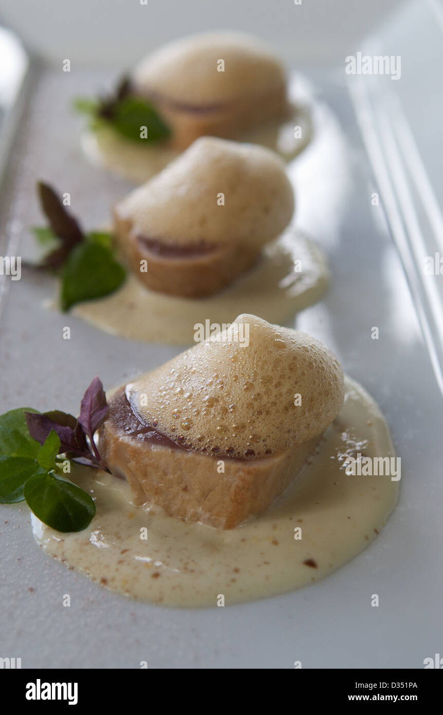 Tataki di tonno con anacardi e crema bolle di soia servito su una piastra  bianca Foto stock - Alamy