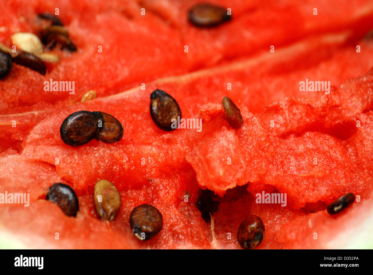 Close-up di mature anguria fresca sfondo Foto Stock