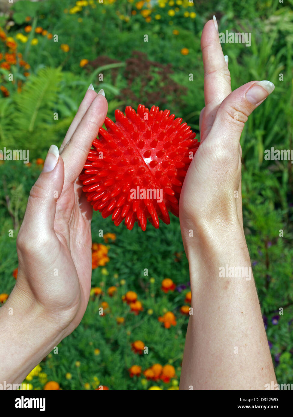 Corsi di formazione con le mani in plastica rosso sfera spinosa Foto Stock