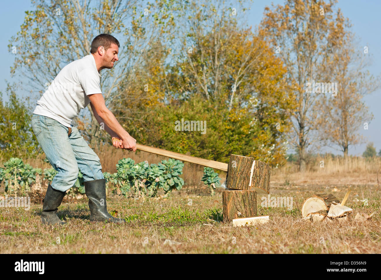 Figura maschile trinciatura o taglio legno invernale contro un rurale autunno sfondo Foto Stock