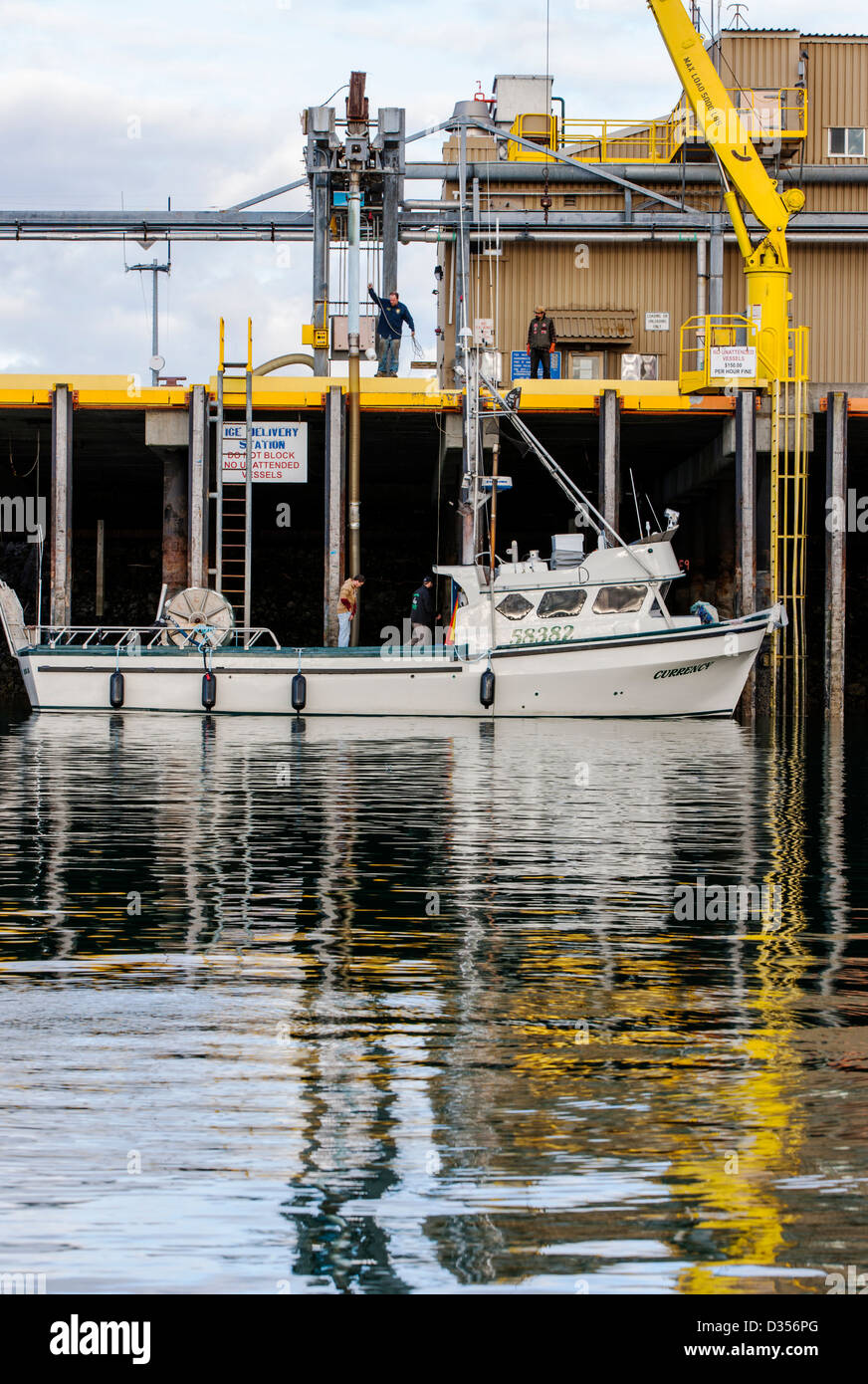 Commerciale di barche da pesca che scaricano il pescato del pesce a un impianto di trasformazione, Omero, Alaska, STATI UNITI D'AMERICA Foto Stock