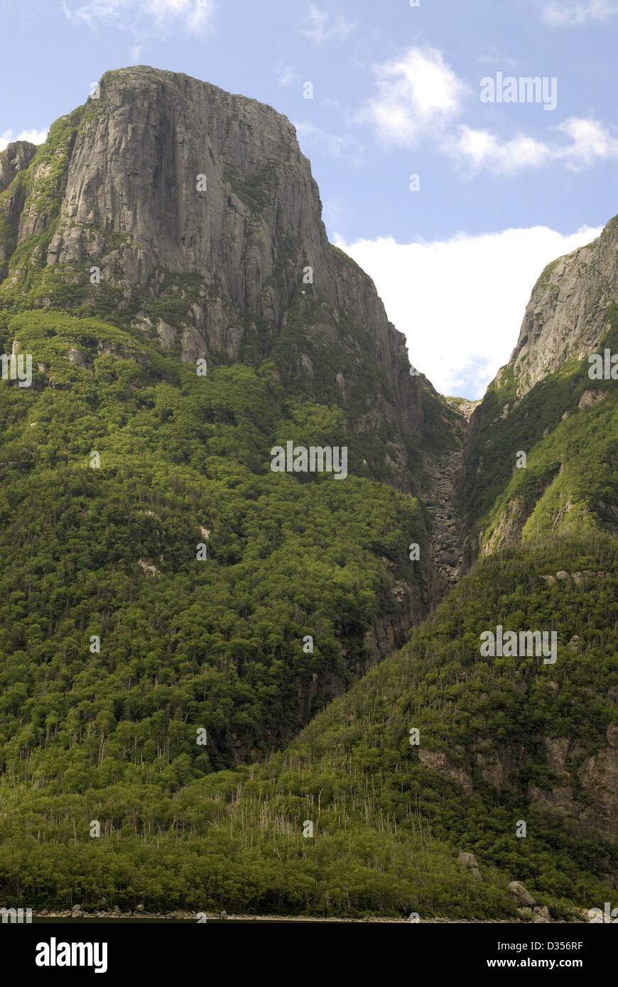 Parco Nazionale Gros Morne, Terranova Foto Stock