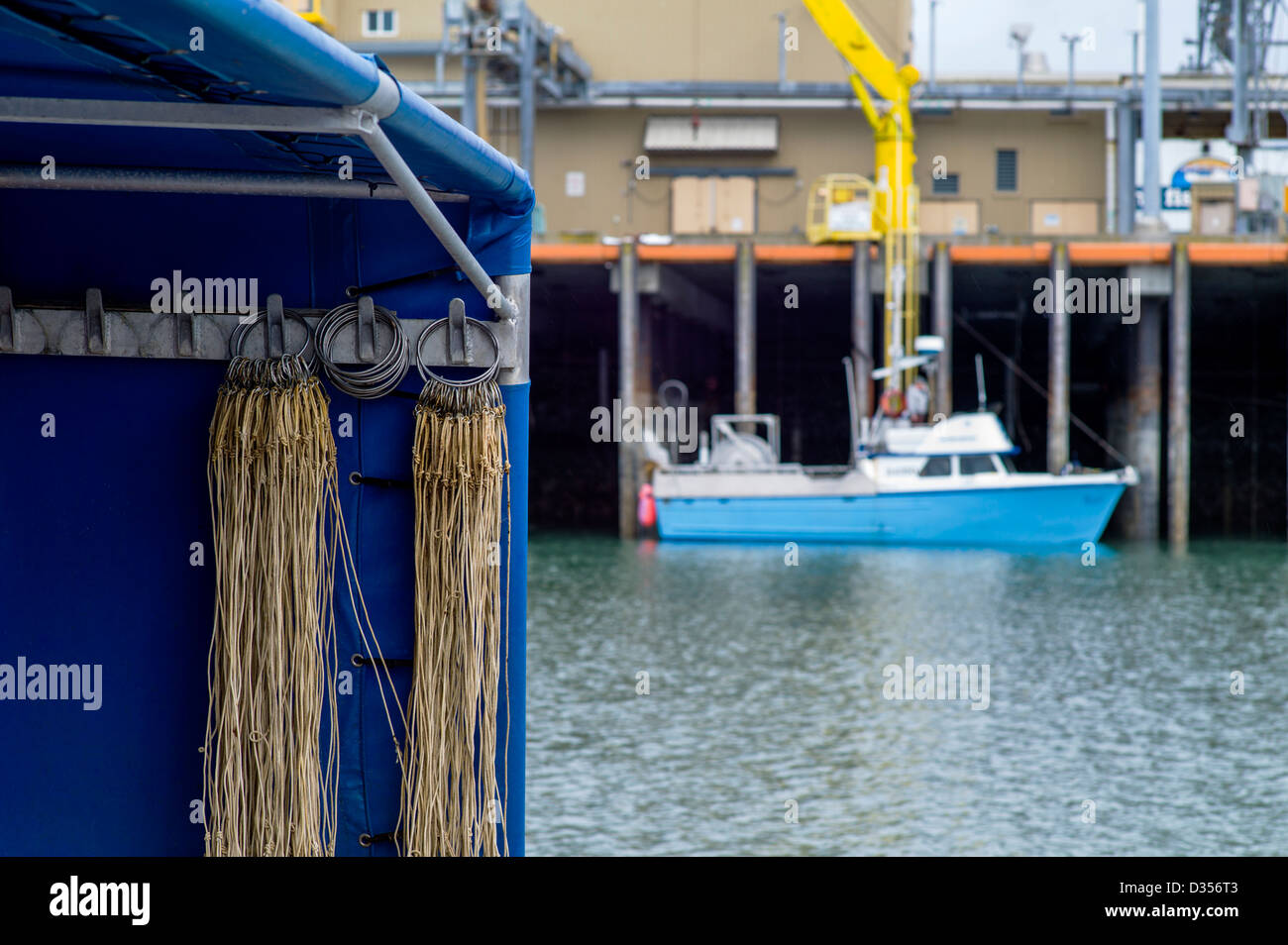 Commerciale di barche da pesca che scaricano il pescato del pesce a un impianto di trasformazione, Omero, Alaska, STATI UNITI D'AMERICA Foto Stock