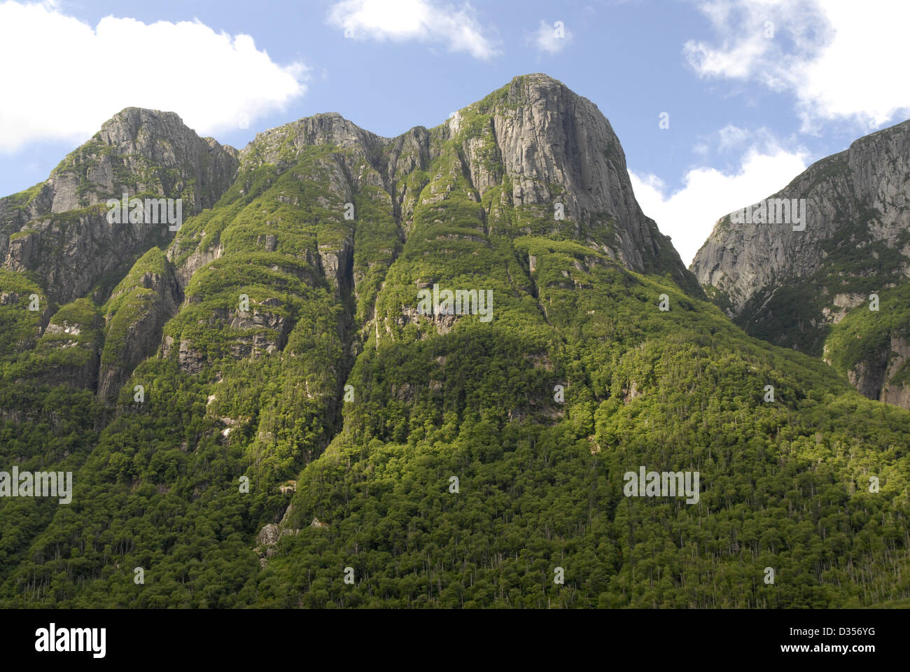 Parco Nazionale Gros Morne, Terranova Foto Stock