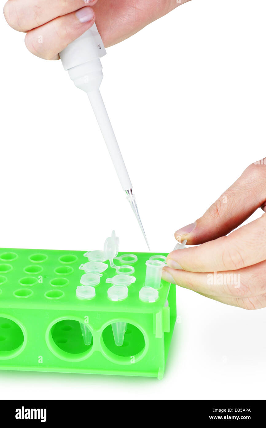 Ricercatore utilizzando una micropipetta per riempire flaconcini, può essere test genetici o altro esperimento di laboratorio. Foto Stock