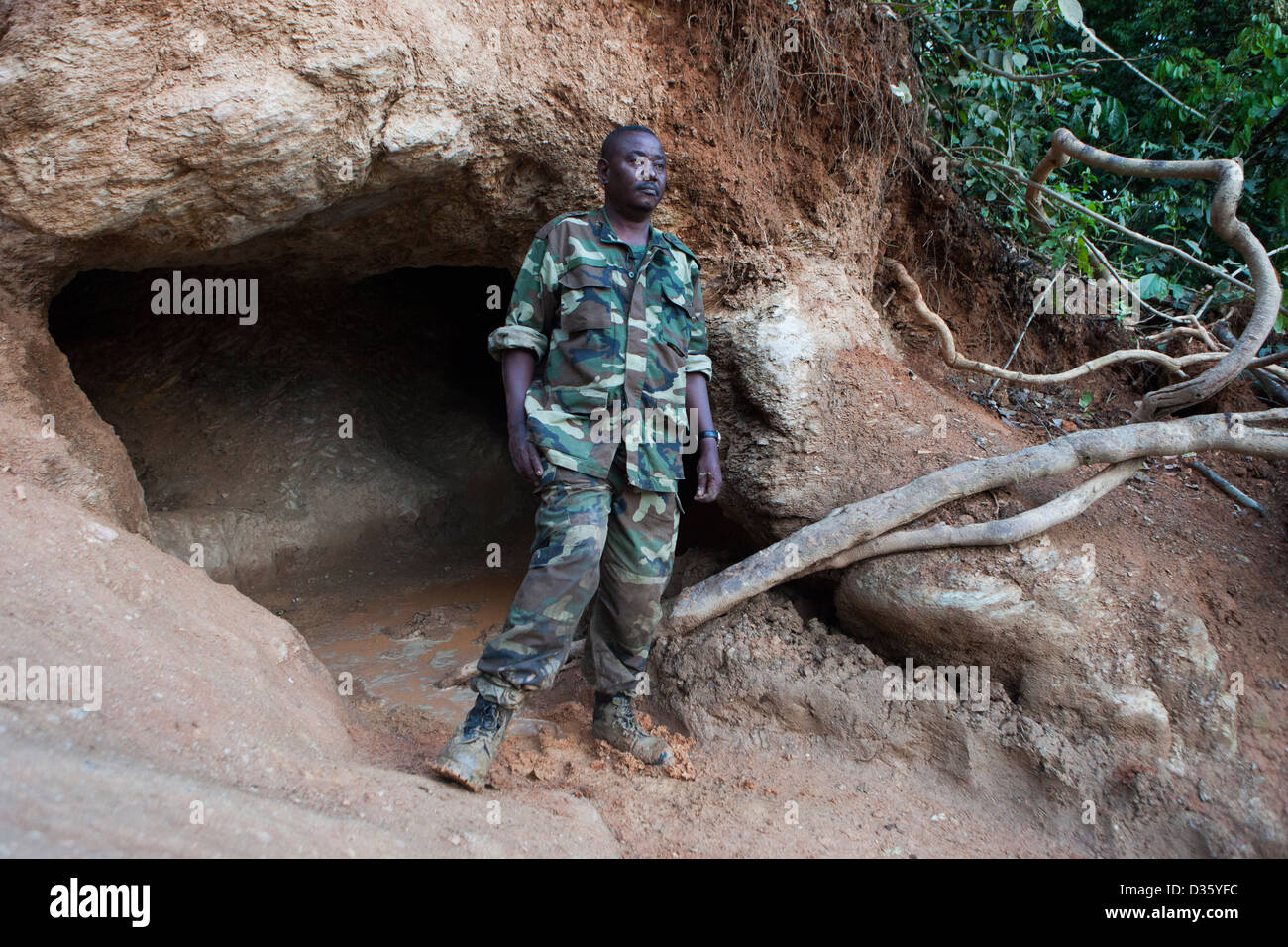 CONGO, 26 sett 2012: Victor Mbolo accanto a un elefante di sale-leccare sul fiume Dja. Foresta di elefanti vieni qui regolarmente per ottenere i minerali di cui hanno bisogno. Foto Stock