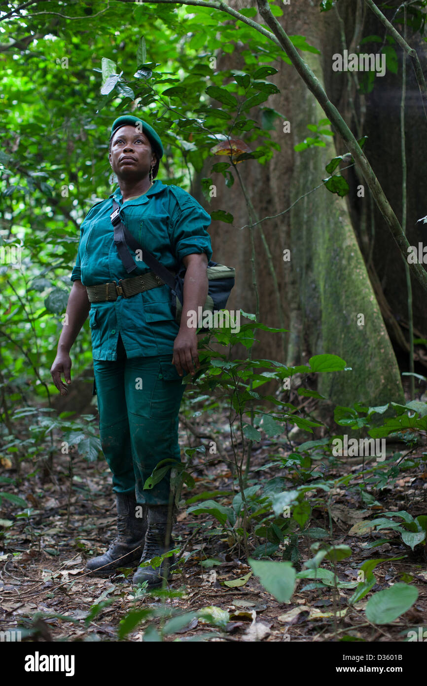 CONGO, 29 Settembre 2012: Sidone Aseme, una femmina ecoguard camerunese è in un bi-gruppo nazionale di ecoguards dal Camerun e Gabon patrol alla ricerca di prove della fauna selvatica di frodo. Foto Stock