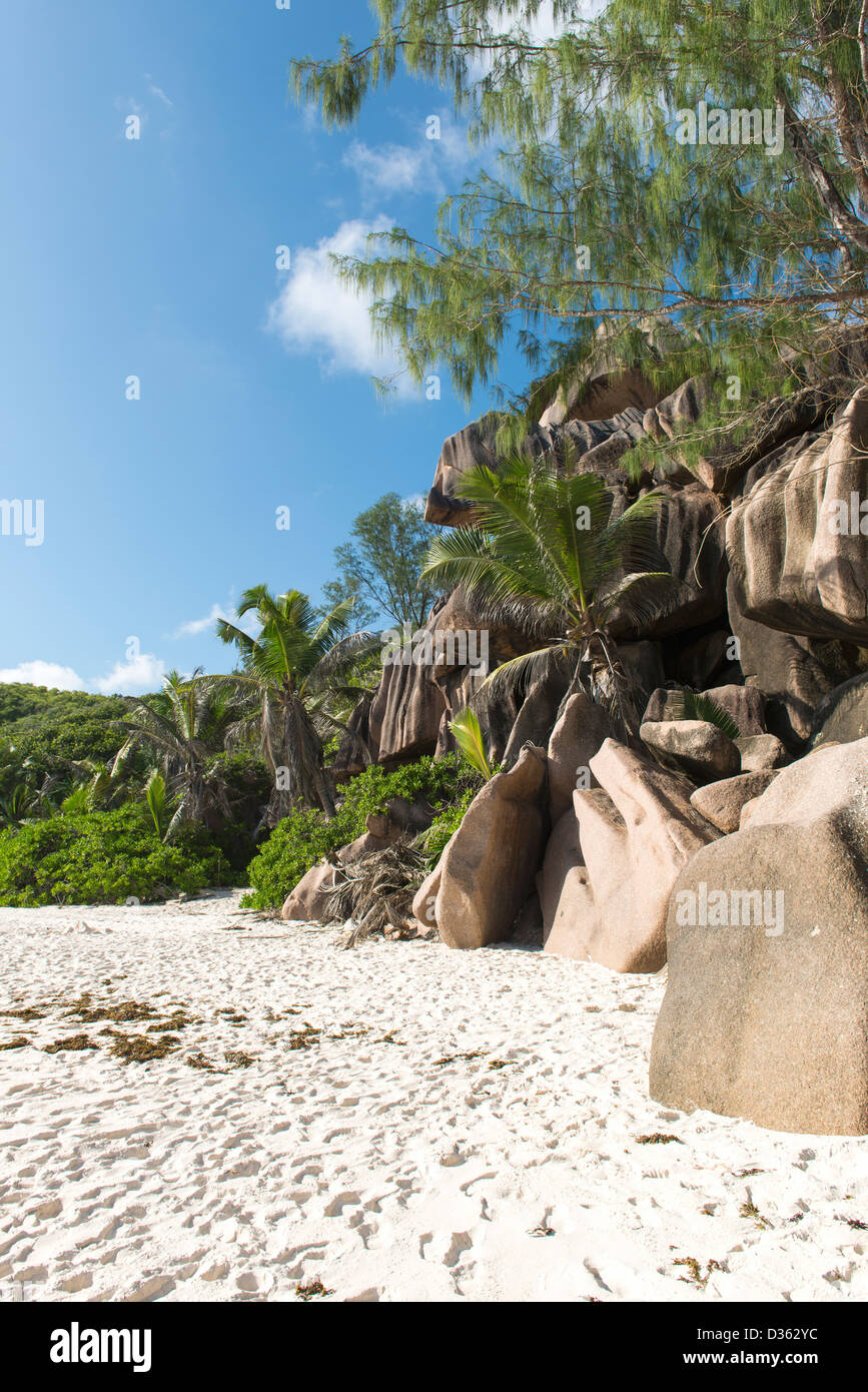 Una bellissima spiaggia di sabbia foderato con grandi massi in corrispondenza del bordo del ciano chiaro ocean Foto Stock