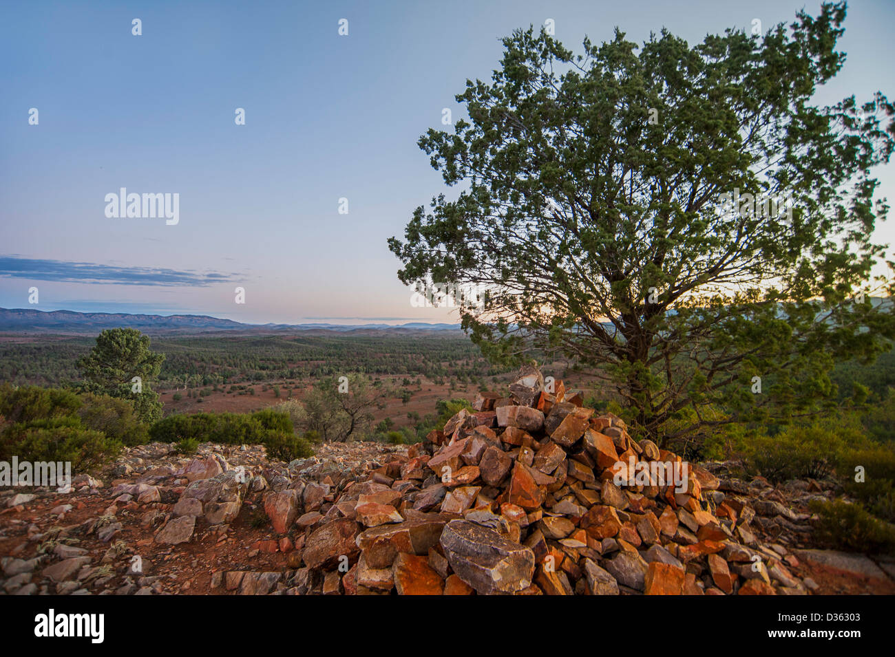 Un Lone Tree e pila di rocce sulla cima di una collina che si affaccia su una pittoresca Flinders Ranges valley in South Australia outback al crepuscolo. Foto Stock