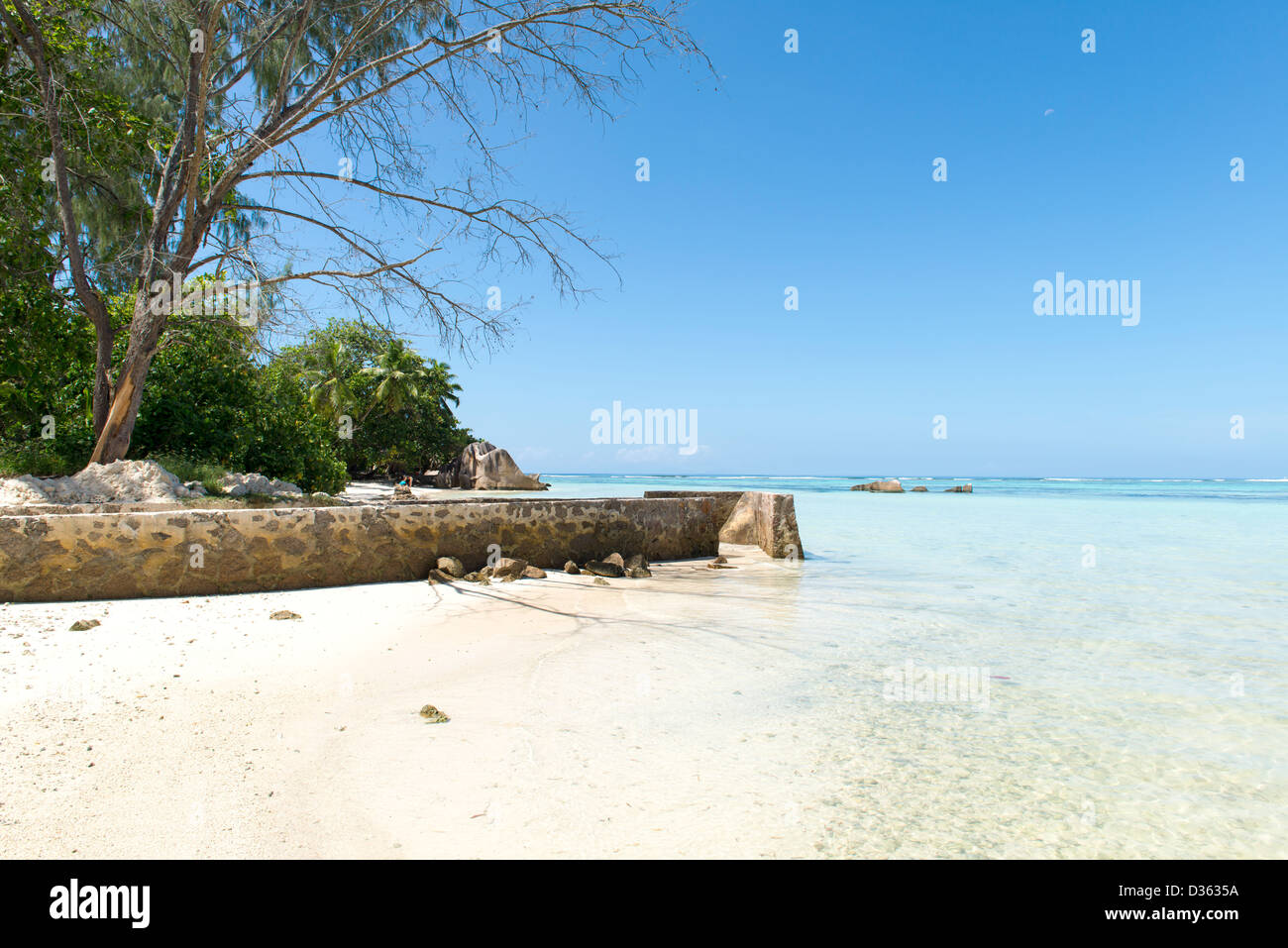 La bellezza delle Seychelles, enormi massi di Hibiscus e palme ai margini di una splendida spiaggia sulla paradisiaca isola di La Dique Foto Stock