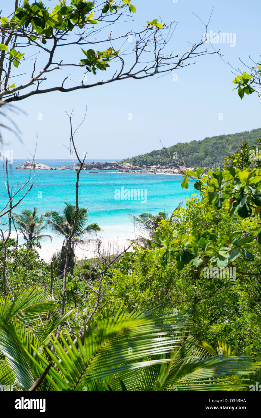 Tropicale sulla spiaggia di sabbia sulle isole Seicelle, La Digue Foto Stock