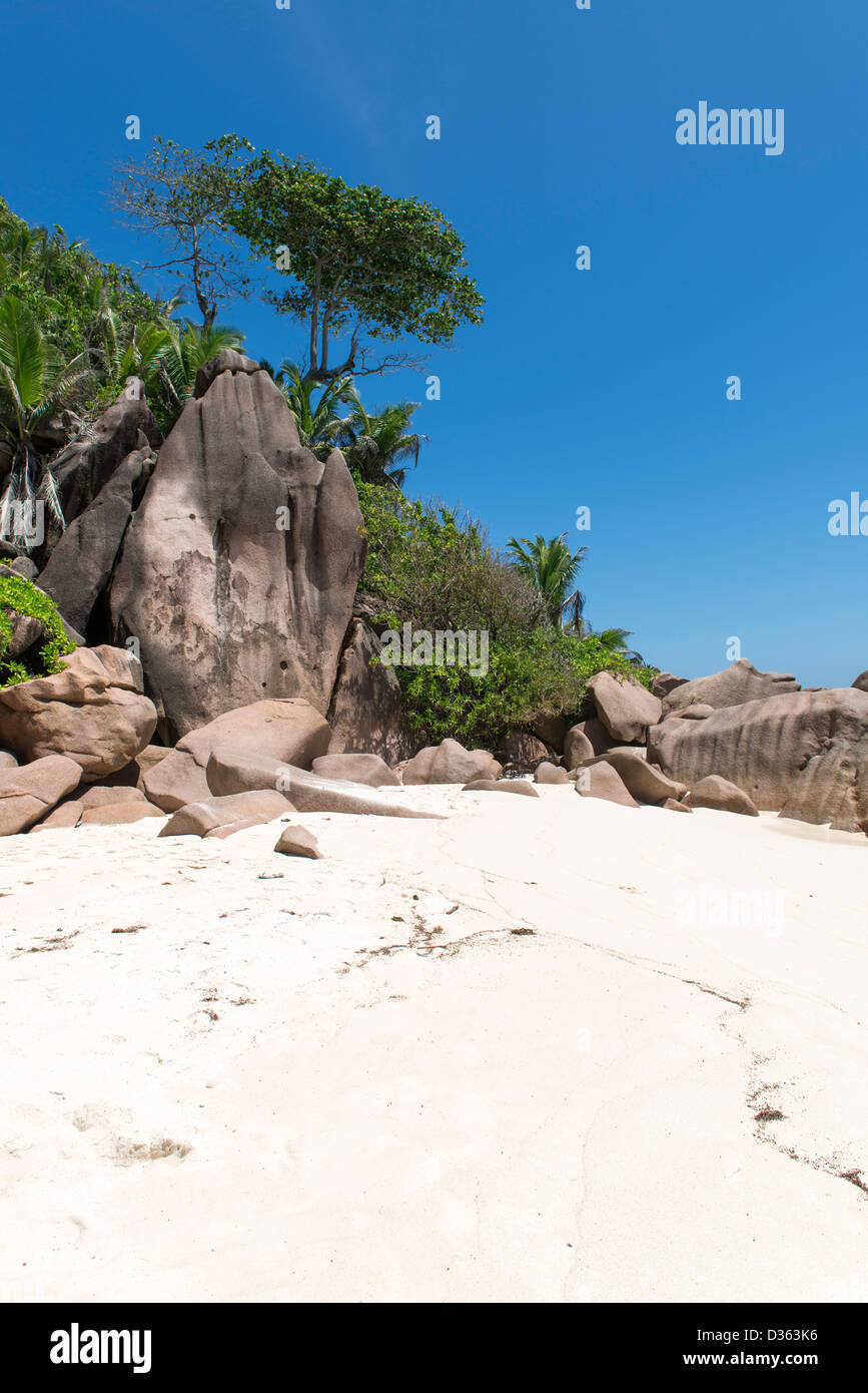 Bella spiaggia tropicale - incredibile Seychelles Foto Stock