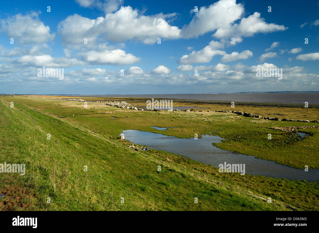 Gwent livelli, foreshore tra newport e Cardiff Galles del Sud, Regno Unito. Foto Stock