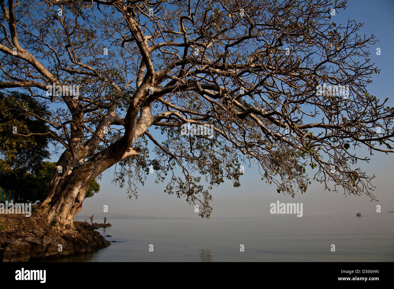 La mattina presto sul Lago Tana, Bahir Dar, Etiopia Foto Stock