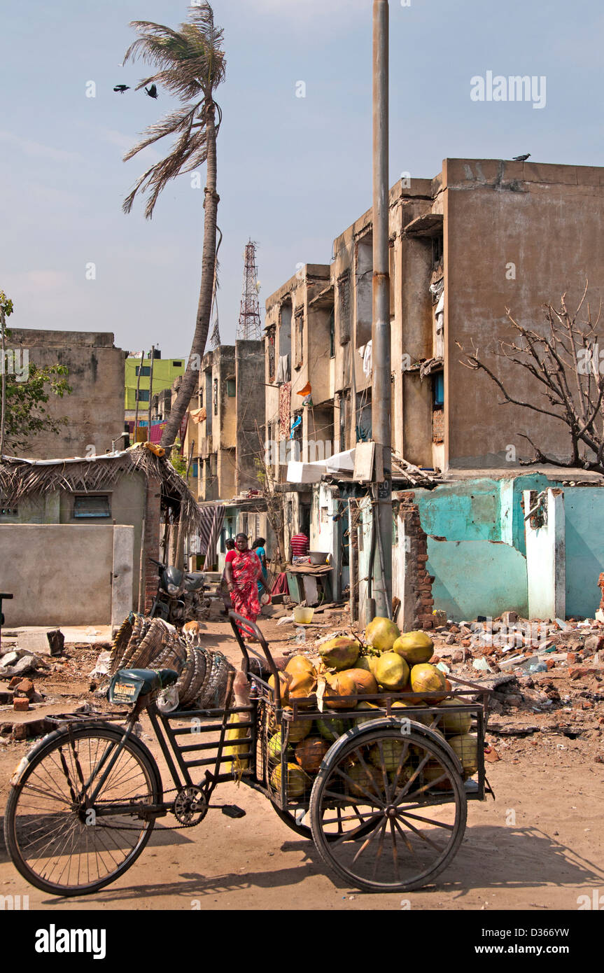 Moto mercato di cocco Pesca Porto Chennai ( Madras ) India Tamil Nadu Foto Stock