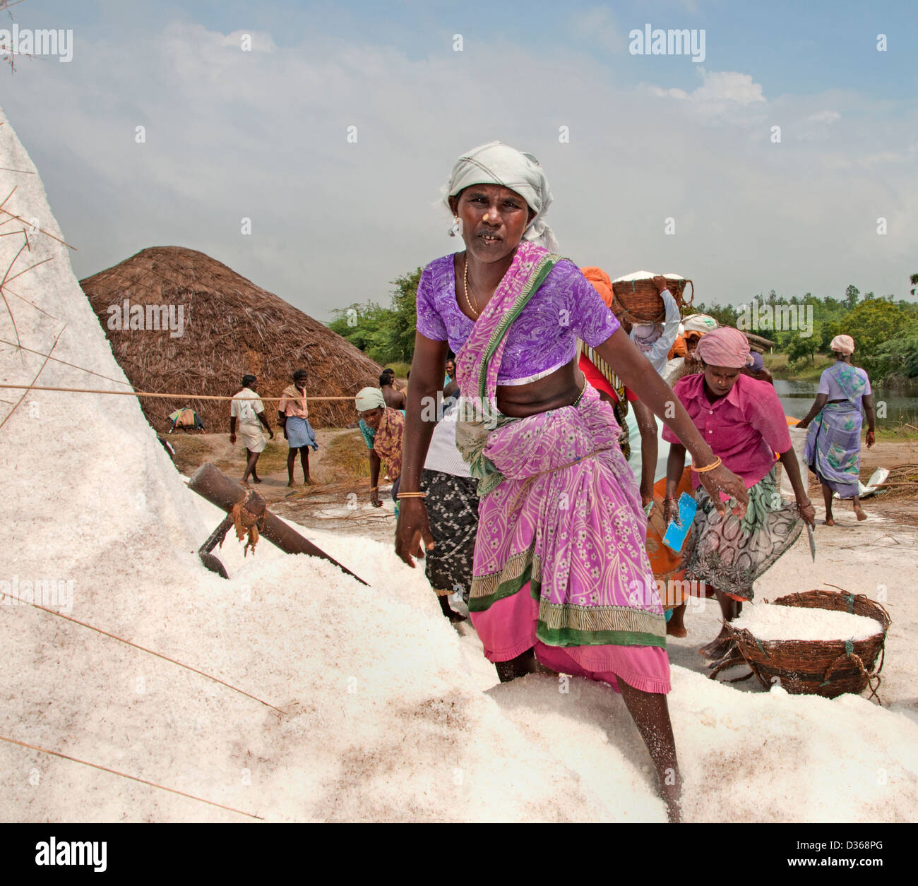 ( Puducherry Pondicherry ) India Tamil Nadu per la produzione di sale Foto Stock