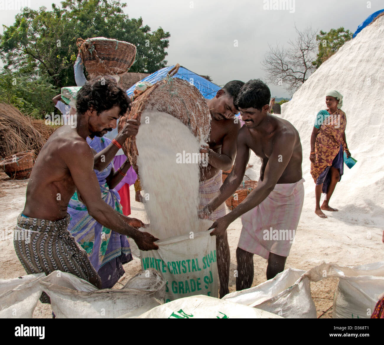 ( Puducherry Pondicherry ) India Tamil Nadu per la produzione di sale Foto Stock