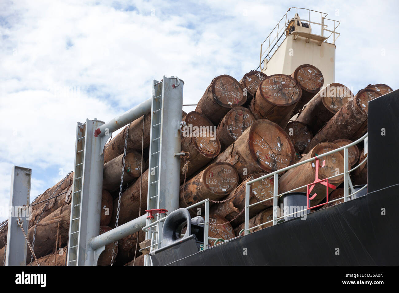 LIBREVILLE, Gabon, 5 ottobre 2012: Eco-protezioni controllare una nave cinese caricato con legname tagliato. È illegale di legname esportazione dal Gabon senza elaborazione in-paese. Foto Stock
