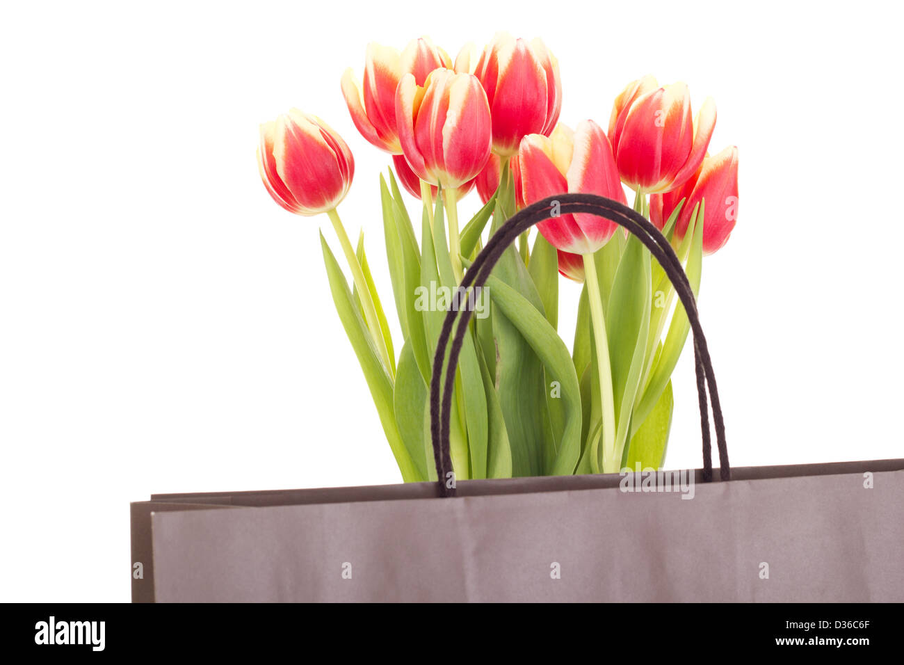 Mazzo di tulipani con sacco Foto Stock