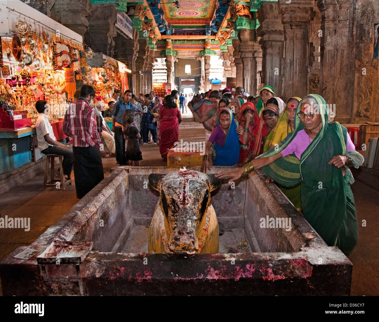 Vacca sacra Sri Meenakshi Amman tempio indù ( dedicato a Parvati - Meenakshi- Shiva- Sundareswarar ) Madurai India Foto Stock